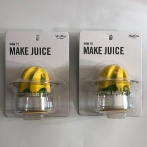 Martha Stewart 2 in 1 Juicer How To Make Juice 2 Qty